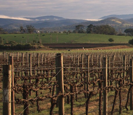 批量发送短信的平台